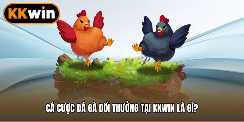 Cá cược đá gà đổi thưởng tại KKWIN là gì?