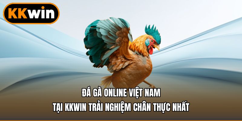 Đá Gà Online Việt Nam