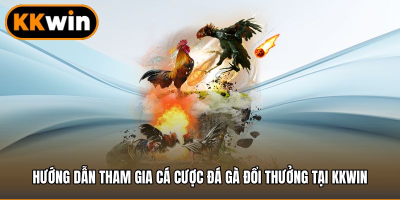 Hướng dẫn tham gia cá cược đá gà đổi thưởng tại KKWIN