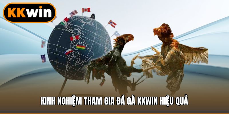 Kinh nghiệm tham gia đá gà KKWIN hiệu quả