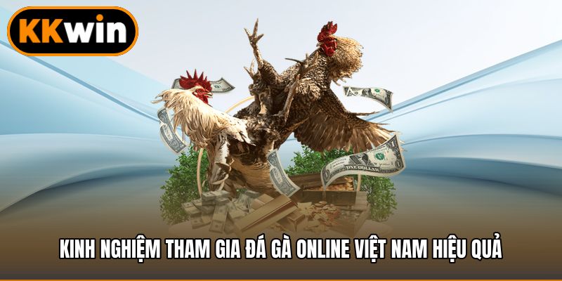 Kinh nghiệm tham gia đá gà online Việt Nam hiệu quả