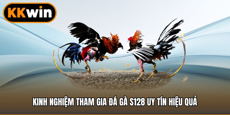 Kinh nghiệm tham gia đá gà S128 uy tín hiệu quả