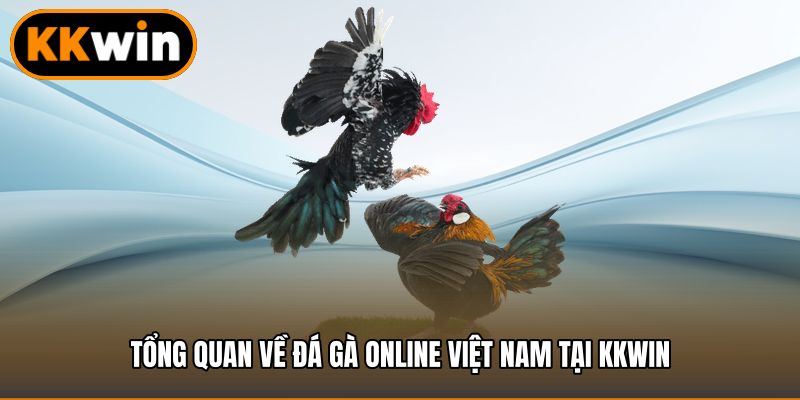 Tổng quan về đá gà online Việt Nam tại KKWIN